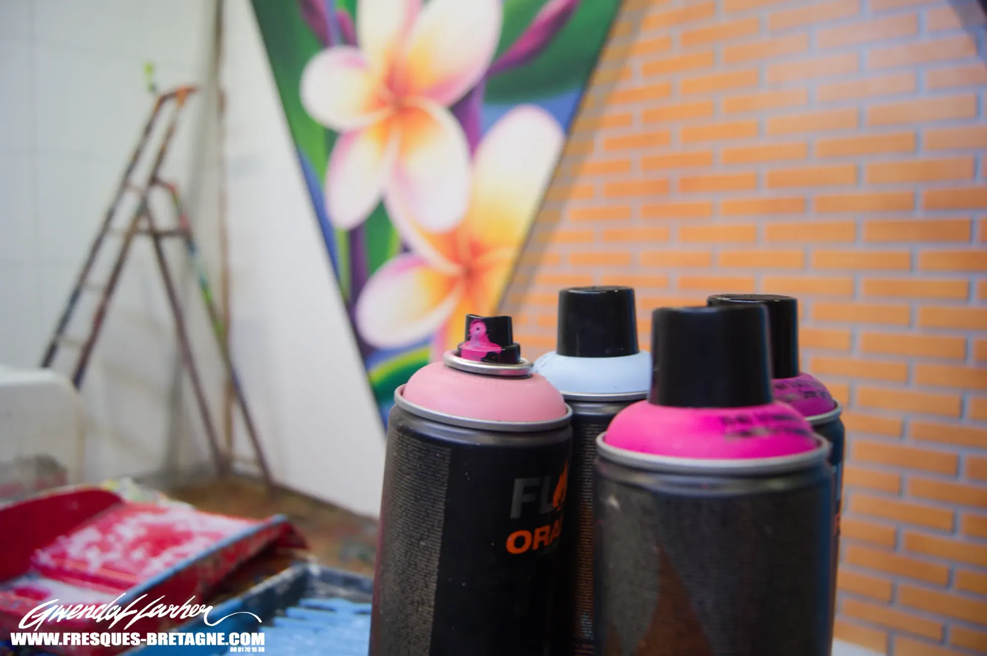 Bombes aérosol dans l'atelier de l'artiste graffeur morlaisien Gwendal Larher