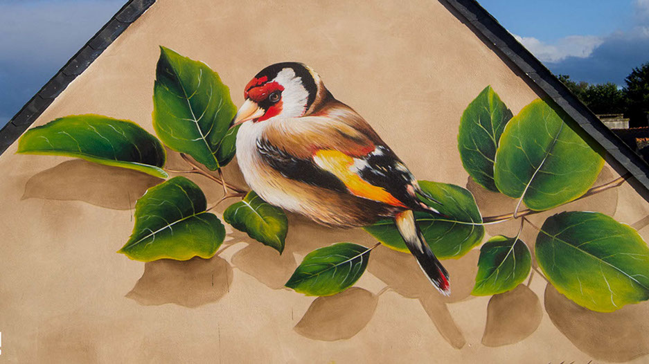 fresque monumentale-dessin d'un oiseaux a Trémel dans les côtes d'Armor en Bretagne-gwendal larher- street art-